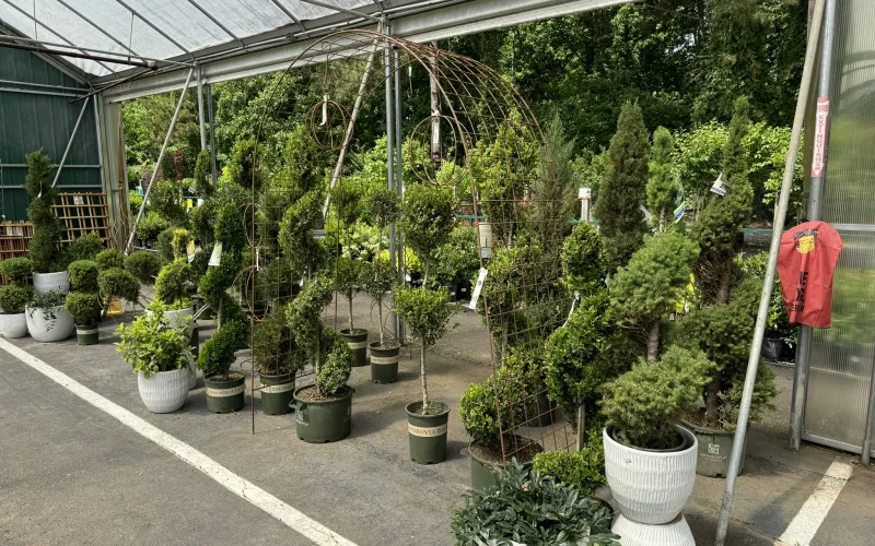 a greenhouse with many potted plants