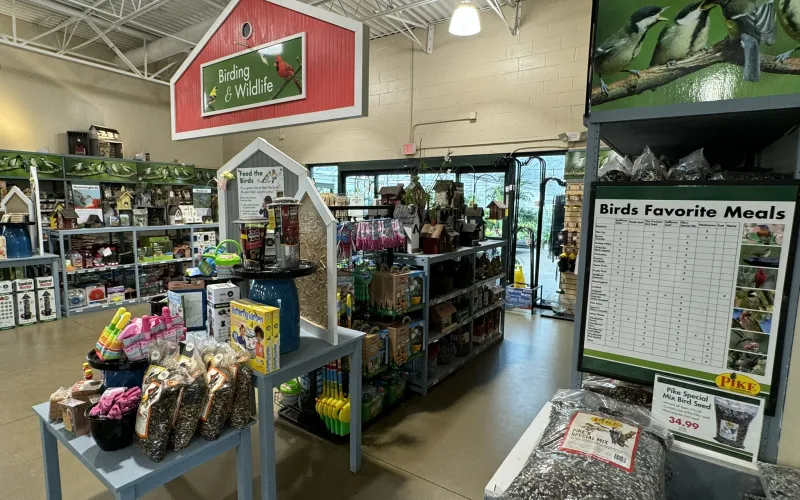 a store with shelves of items