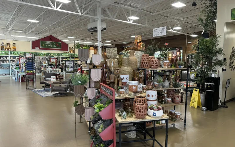 a store with shelves of food