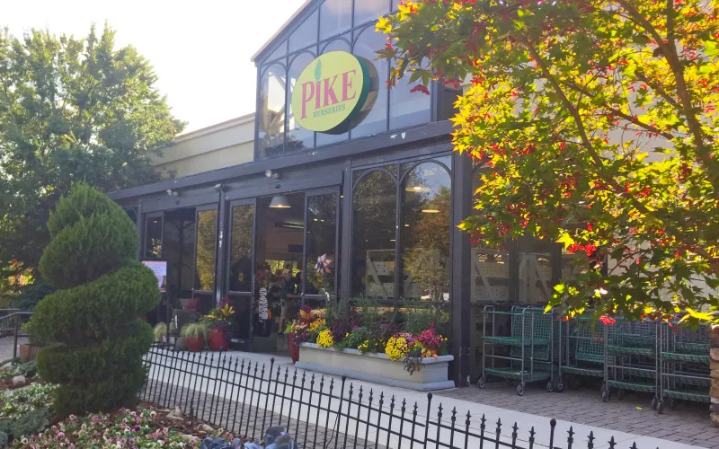 a group of people in a garden