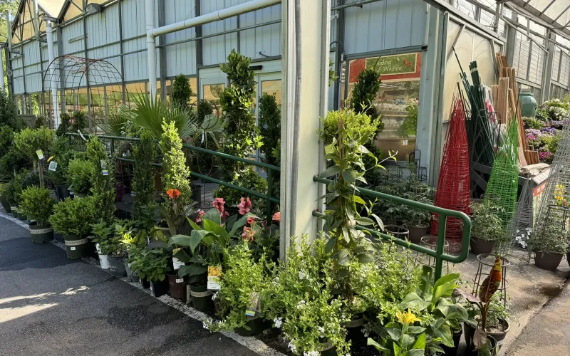 a garden in front of a building