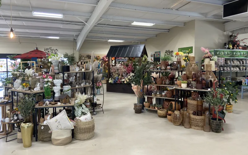 a store with baskets and plants