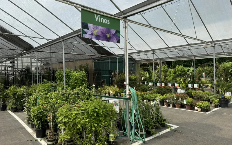 a greenhouse with plants and a sign