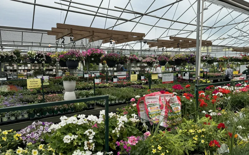 a greenhouse with many flowers