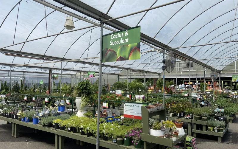 a greenhouse with plants and flowers