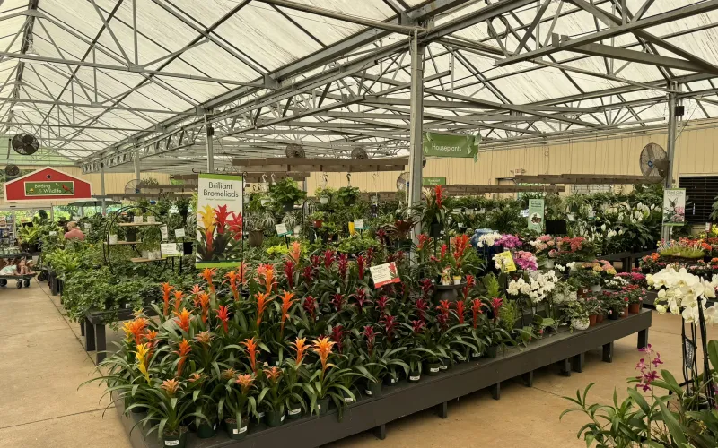 a greenhouse with many plants and flowers