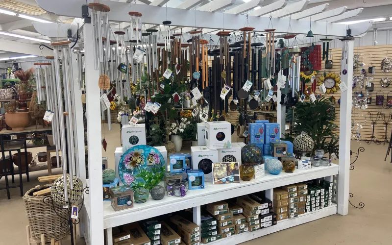 a store with many items on display