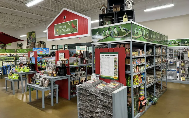 a store with shelves of items