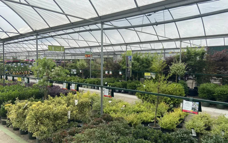 a large indoor garden