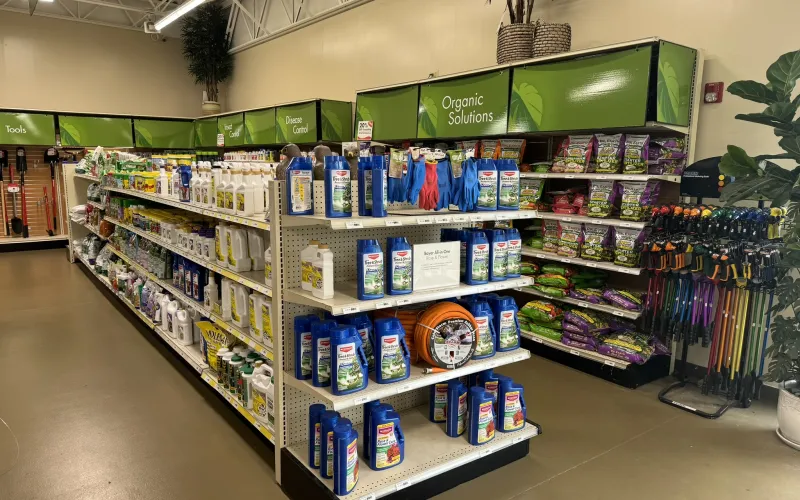 a store with shelves of products