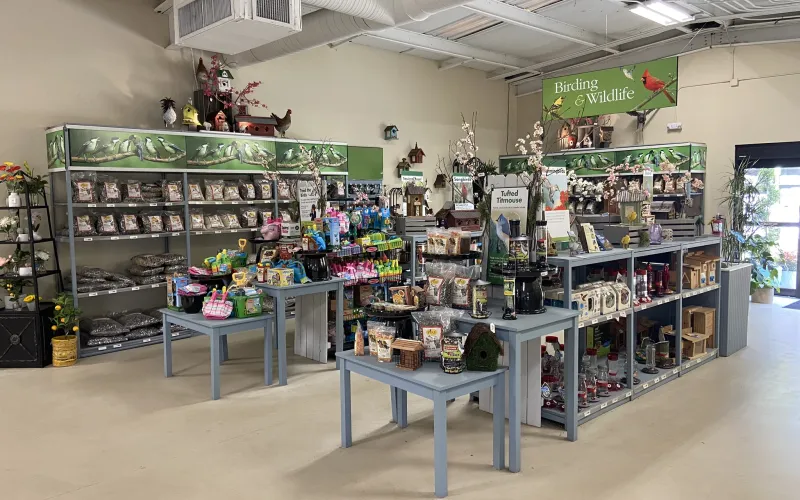 a store with shelves of items