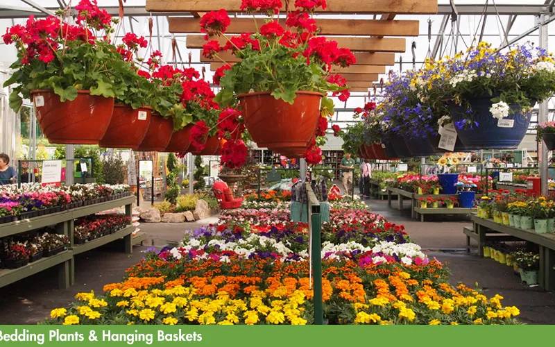 a store filled with lots of colorful flowers
