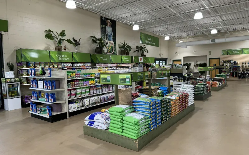 a store with shelves of items