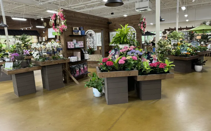 a store with flowers