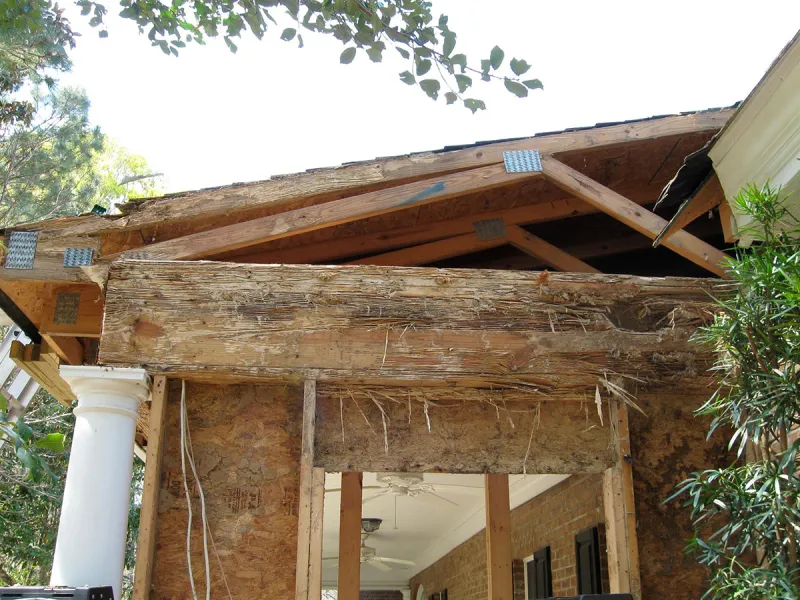 Importance of Regular Termite Inspections
