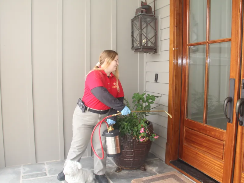 What To Expect From A Professional Pest Control Company