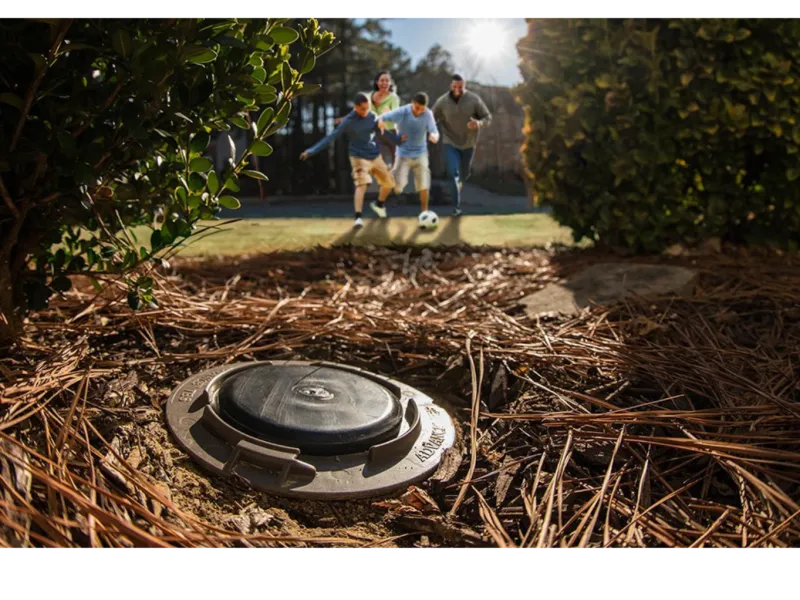 How Do Termite Bait Stations Work?