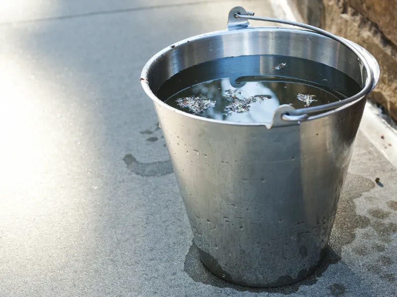 DIY Mosquito Control Tips