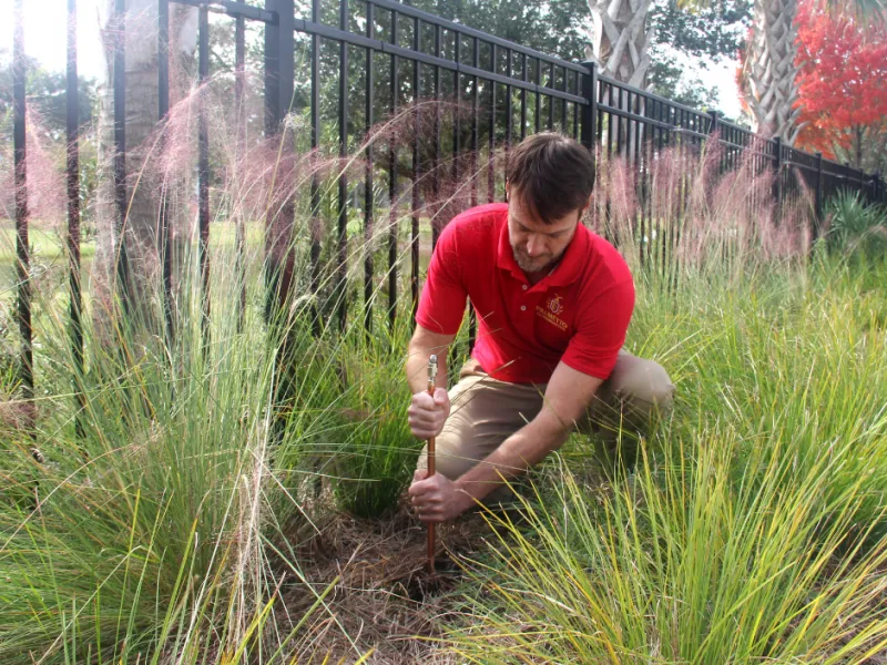 Mosquito Control in Charleston