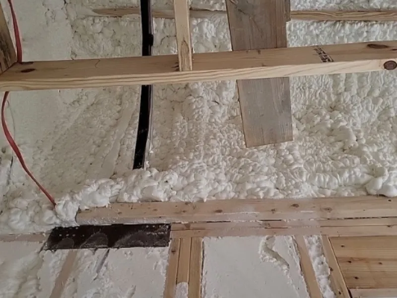 Spray Foam Bad for Termite Control