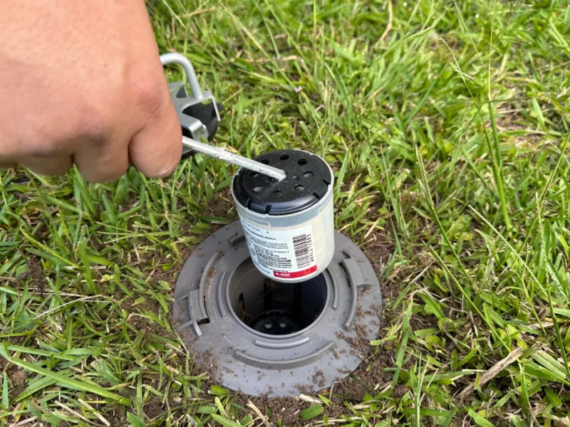 Termite Protection in Owings Mills