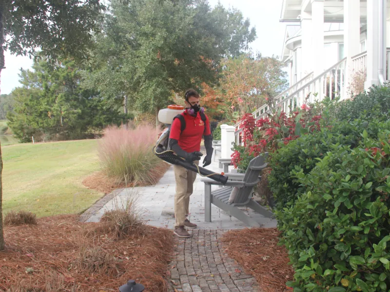 Mosquito Control Charlotte NC