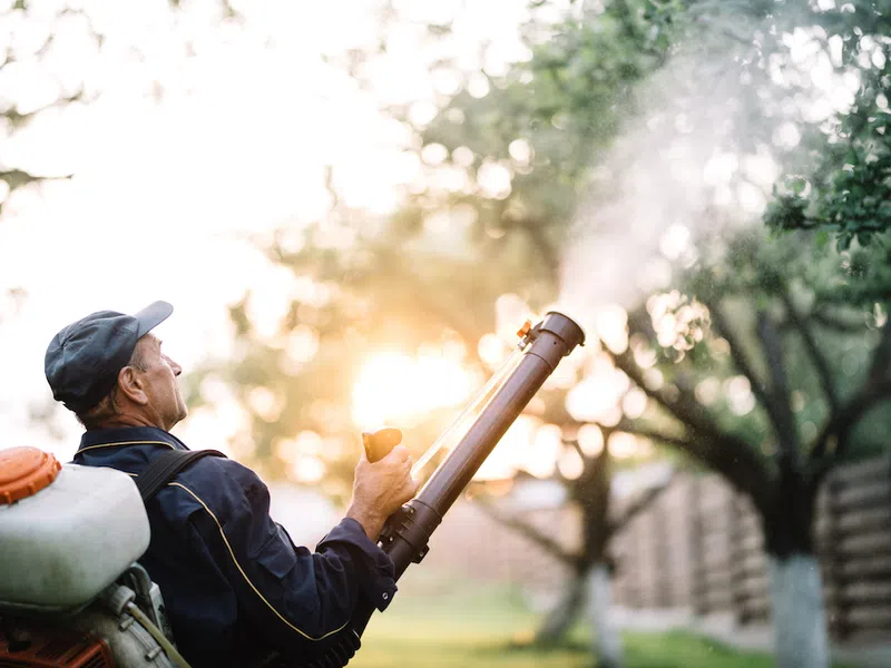 Which Mosquito Control Option Is Right For You?