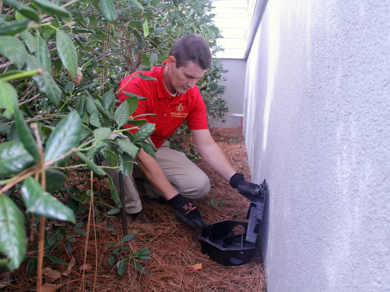 a man squatting next to a plant with a rodent trap