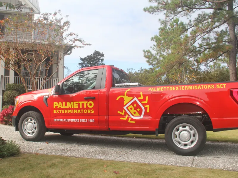 Mosquito Control in Charleston