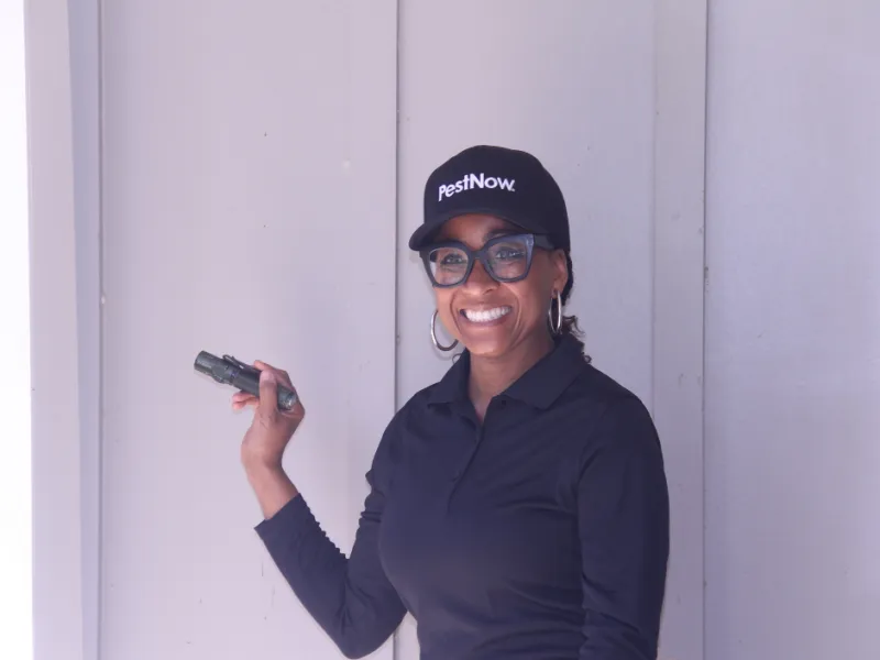 Termite Control in Sterling