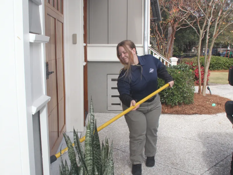 knocking down spider webs