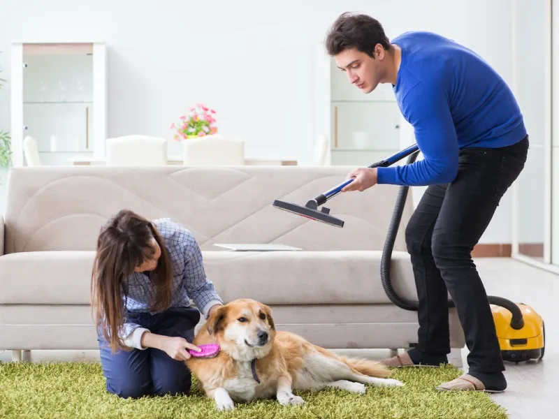 Keeping Your Pets and Home Flea-Free