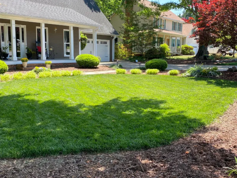 Late-Summer Fescue Lawn Care