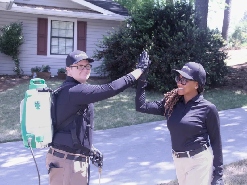 Owings Mills Mosquito Control