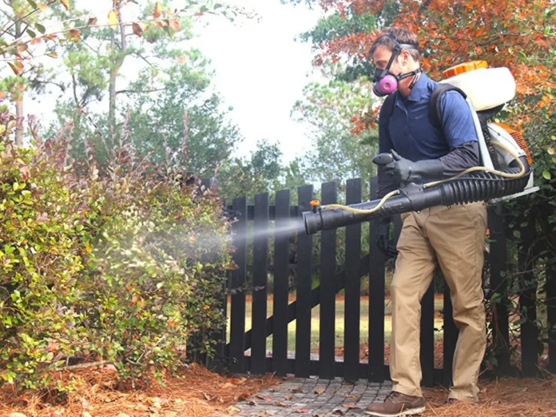 Mosquito Control in Toms River