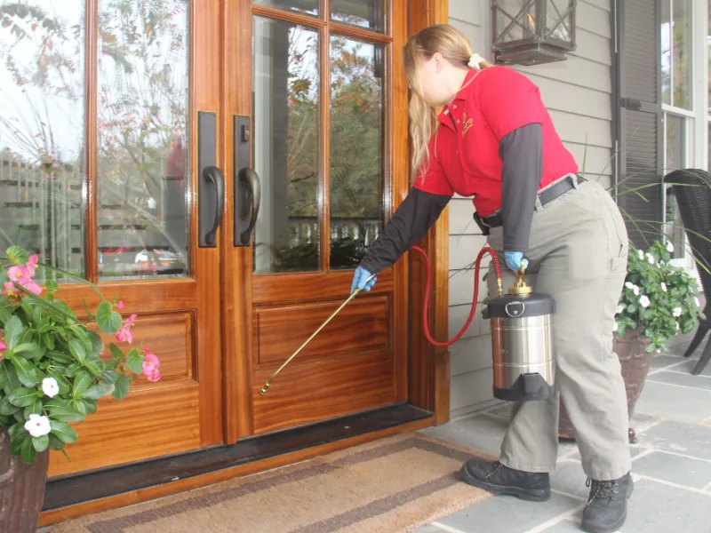 Why You Should Hire A Professional Pest Control Company