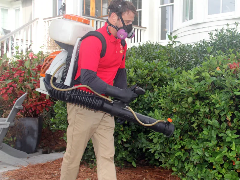 Mosquito Control Monroe NC