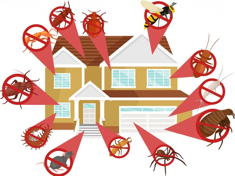 Stay vigilant with quarterly pest control