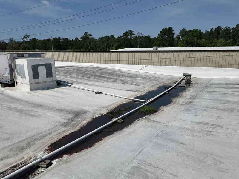Neglected commercial flat roof with vegetation growth showing need for preventative maintenance Texas