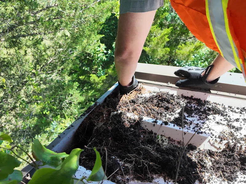 Mattco roofing technician in an orange safety vest clearing heavy debris and organic buildup from a commercial roof drain or gutter during a preventative maintenance inspection visit.