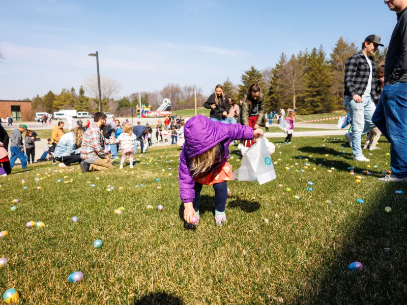 Child in purple jacket collecting Easter eggs on grass during an outdoor Easter egg hunt with families present