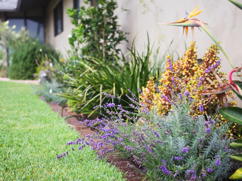 landscape design glendale california