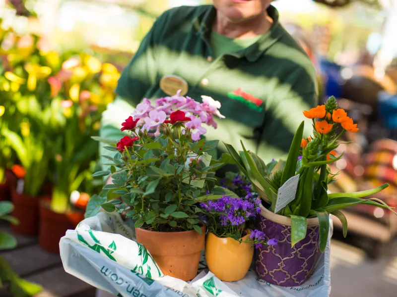 armstrong glendale associate holding flowers