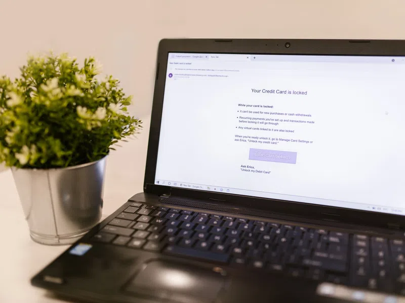 Laptop screen displaying a locked credit card notification next to a small potted plant on a white table.