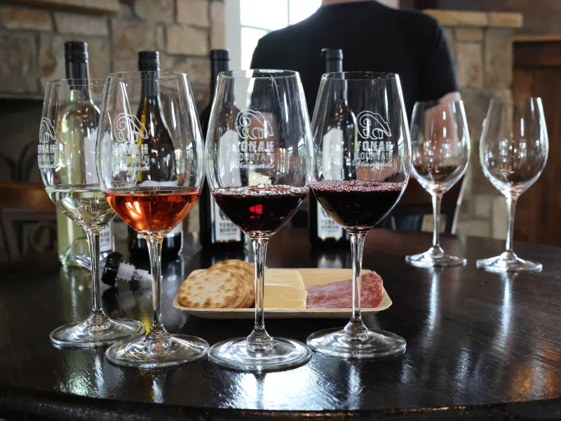 Wine tasting setup with red, rosé, and white wine glasses, crackers, cheese, and salami on a wooden table.