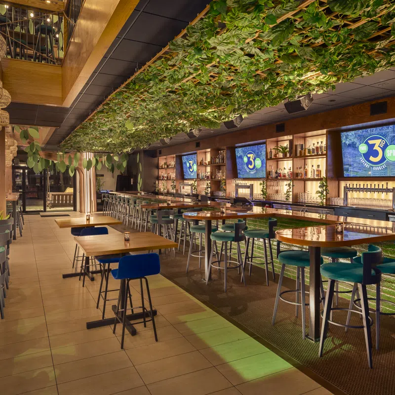 Modern bar interior with green ceiling plants, wooden tables, blue chairs, and illuminated shelves with bottles.