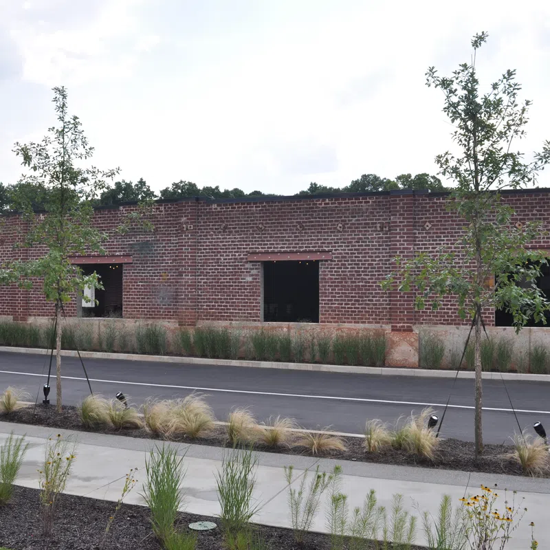 Single-story red brick building with empty windows, roadside, young trees, and landscaped grassy sidewalk area.