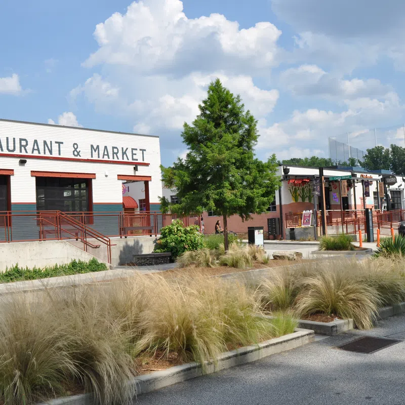 Outdoor view of a restaurant and market with cars, trees, and decorative grasses under a blue sky with clouds