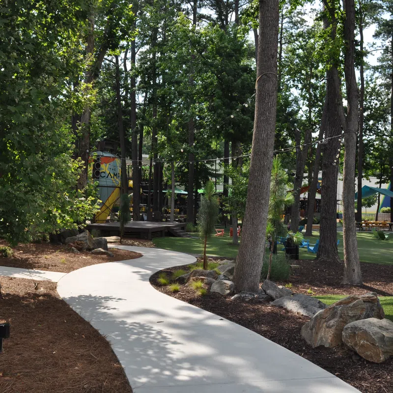 Curved concrete path winding through a wooded outdoor park area with trees, rocks, and picnic tables in sunlight