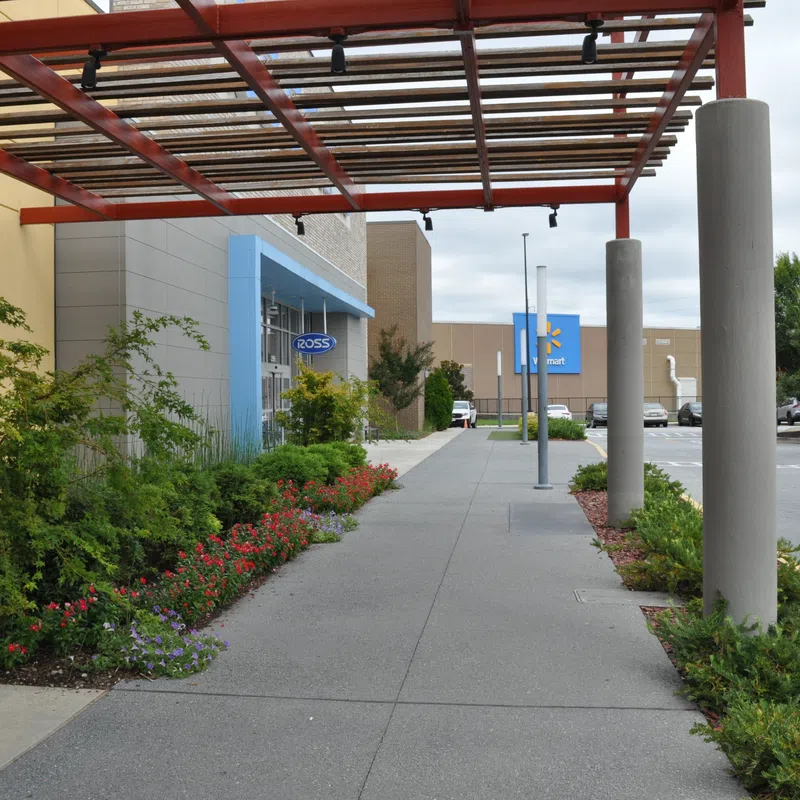 Outdoor shopping center walkway with Ross and Walmart stores, greenery, and covered pergola on a cloudy day.